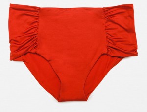 Zara High Waist Bikini Briefs