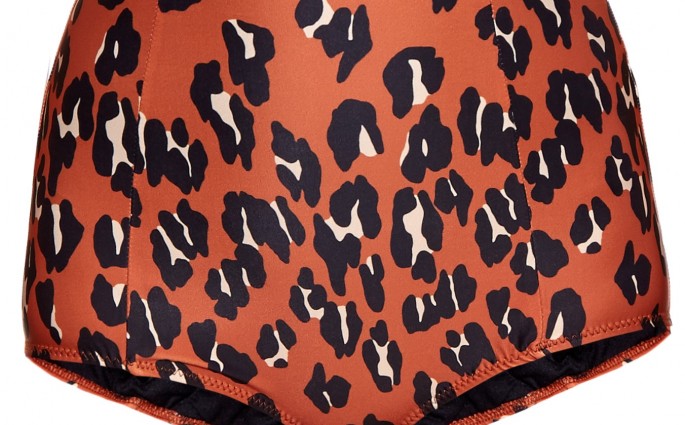 RACHEL COMEY Keena high-waisted leopard-print bikini briefs