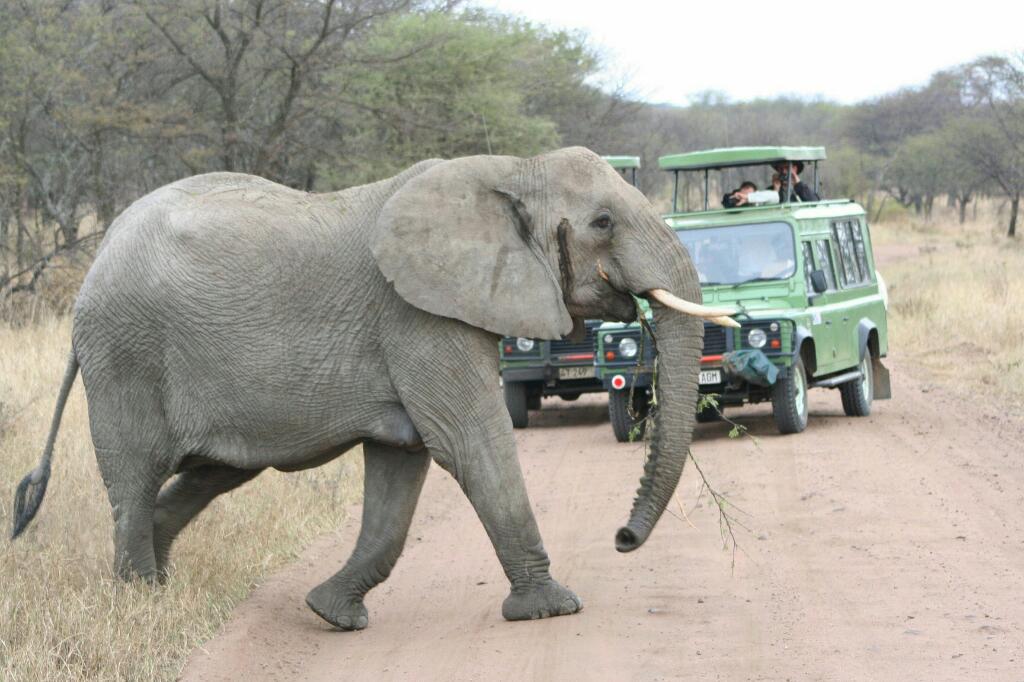 tanzania