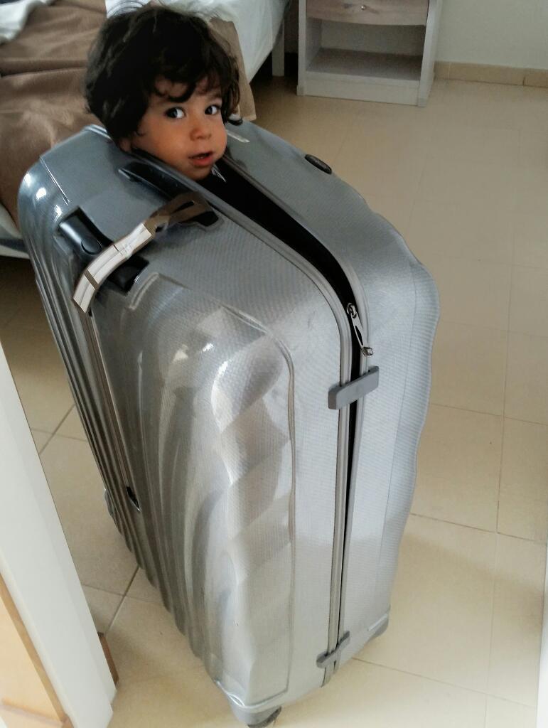 samsonite spinner  - family luggage