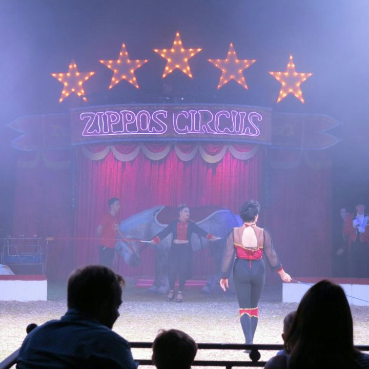 Run Away With The Circus - Zippos - Bikinis and Bibs