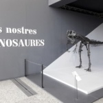 dinosaurs design city of arts and sciences valencia