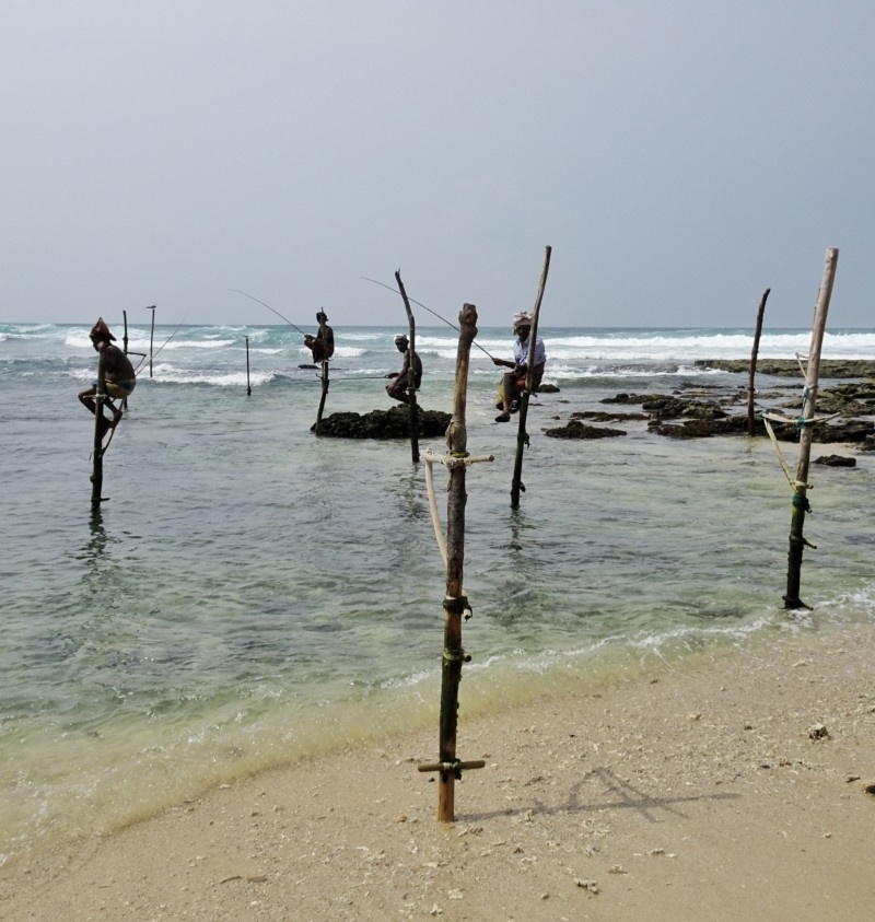 fisherman on sticks galle-srilanka-sofa