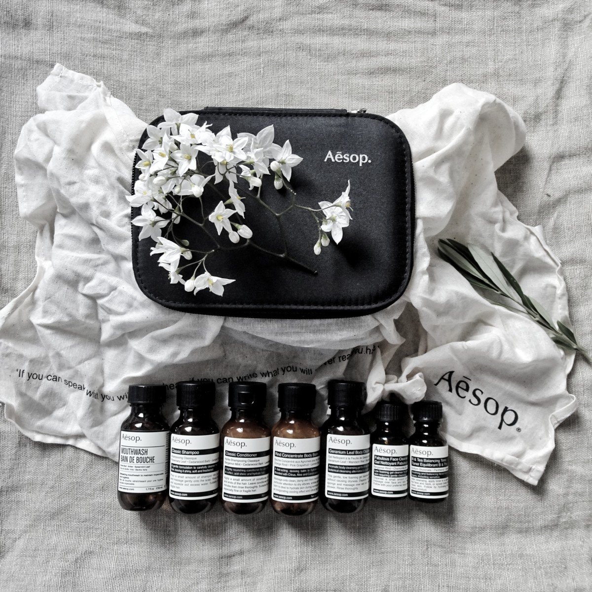 Aesop boston travel kit