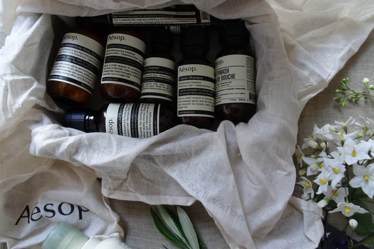 Aesop boston travel kit